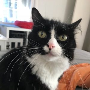 Meet your Posher, Katie